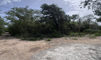 Foto de inmueble en , Col. Puerto Morelos C.P. 77580, Benito Juárez