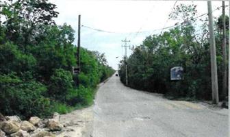 Foto de inmueble en CARRETERA PUERTO JUAREZ-TULUM, Col. Puerto Morelos C.P. 77580, Puerto Morelos
