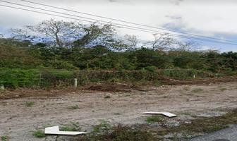 Foto de inmueble en , Col. Puerto Morelos C.P. 77580, Puerto Morelos
