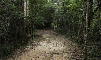 Foto de inmueble en Ruta de los Cenotes, Col. Puerto Morelos C.P. 77580, Benito Juárez