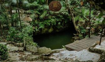 Foto de inmueble en Ruta de los Cenotes, Col. Puerto Morelos C.P. 77580, Benito Juárez