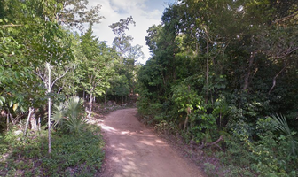 Foto de inmueble en Zona Ecológica, Col. Residencial Playa Paraíso C.P. 77740, Solidaridad