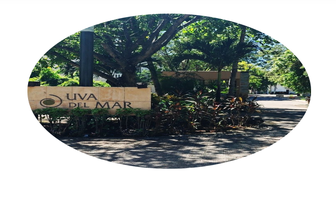 Foto de inmueble en UVA DEL MAR, Col. Selvamar C.P. 77727, Solidaridad