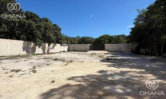 Foto de inmueble en Terreno en Renta | Av Huayacan con Calle Olivos, Col. Supermanzana 310 C.P. 77560, Benito Juárez