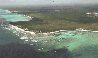 Foto de inmueble en Carr. Fed, Col. Tankah Cuatro C.P. 77772, Tulum