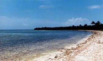 Foto de inmueble en , Col. Tankah Cuatro C.P. 77772, Tulum