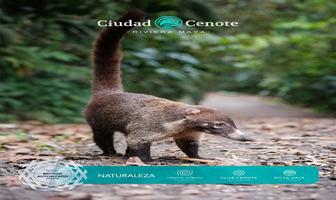 Foto de inmueble en Cenote Hábitat, Col. Tres Marias C.P. 77376, Lázaro Cárdenas