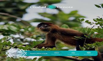 Foto de inmueble en Cenote Habitat, Col. Tres Marias C.P. 77376, Lázaro Cárdenas