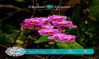 Foto de inmueble en Ciudad Cenote, Col. Tres Marias C.P. 77376, Lázaro Cárdenas