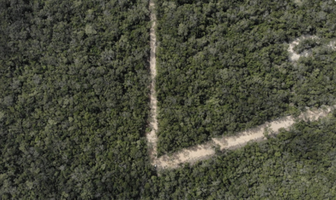 Foto de inmueble en Terreno Tulum Macrolote, Col. Tulum Centro C.P. 77760, Tulum