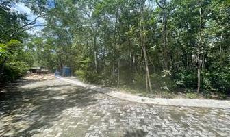 Foto de inmueble en Lote Residencial de Lujo en Enclave Tulum, Col. Tumben Kaa C.P. 77760, Tulum