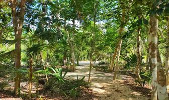 Foto de inmueble en , Col. Tumben Kaa C.P. 77760, Tulum