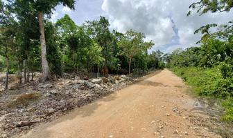 Foto de inmueble en Terreno EN Venta A Lado DE Parque Xenotes  DE 10 Hectareas  EN Playa DEL Carmen, Col. Villas Morelos I C.P. 77580, Benito Juárez