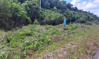 Foto de inmueble en Carretera Chetumal- Cancún Km 307, Col. X-hazil C.P. 77106, Felipe Carrillo Puerto