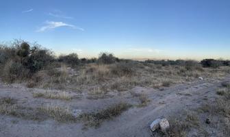 Foto de inmueble en , Col. Bosque de las Flores C.P. 78424, San Luis Potosí