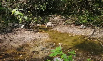 Foto de inmueble en Gustavo Diaz Ordaz #S/N, Col. Lomas del Mirador C.P. 79050, Ciudad Valles