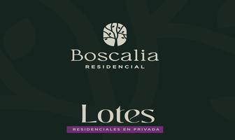 Foto de inmueble en Lotes Residenciales EN Privada EN Venta EN Fracc. Boscalia Residencial, SAN Luis Potosi, Col. San Francisco de los Pozos C.P. 78397, San Luis Potosí