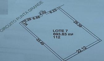 Foto de inmueble en Terreno EN Venta EN Punta SAN Luis, SAN Luis Potosi, Col. San Francisco de los Pozos C.P. 78397, San Luis Potosí