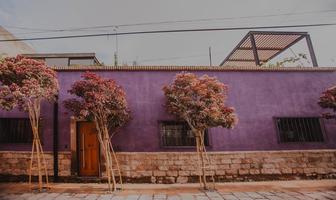 Foto de inmueble en San Sebastian, Col. San Sebastián C.P. 78416, San Luis Potosí