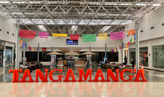 Foto de inmueble en Manuel Clouthier, Col. Tangamanga C.P. 78269, San Luis Potosí