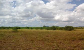 Foto de inmueble en LOS MOCHIS-CULIACAN #KM 18.5, Col. 22 de Junio C.P. 80349, Navolato