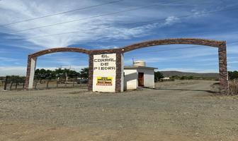 Foto de inmueble en Carretera Sanalona, Col. Alcoyonqui C.P. 80391, Culiacán