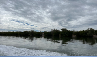 Foto de inmueble en isla talchichintle, Col. Angostura Centro C.P. 81600, Angostura