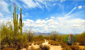 Foto de inmueble en SE  Vende Rancho DE 25,989 Has.,  EN  Pitiquito Sonora México, Col. Pitiquito C.P. 83960, Pitiquito