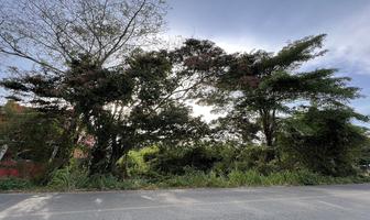 Foto de inmueble en CARRETERA VECINAL A MONTE ADENTRO, Col. Quintín Arauz C.P. 86608, Paraíso