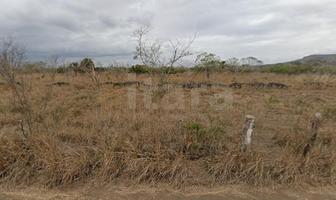 Foto de inmueble en Terreno en Venta Aldama Tamaulipas, Col. Aldama C.P. 89670, Aldama