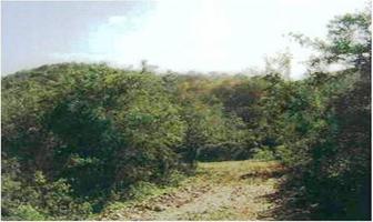 Foto de inmueble en Carretera a Cd. Victoria-Matamoros Tamaulipas Km.147, Col. Cruillas C.P. 87640, Cruillas