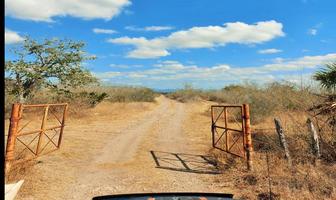 Foto de inmueble en Rancho en Venta Km 24 Carretera González - Cd. Victoria, González, Tam, Col. El Progreso C.P. 89704, González
