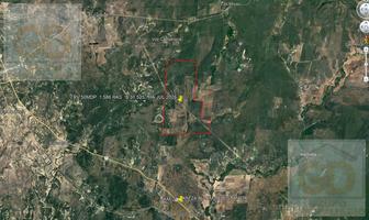 Foto de inmueble en Terreno Rustico EN Venta EN KM 24 Carr. Gonzalez-victoria, Mpio Gonzalez Tamaulipas CON  Denominacio #0, Col. Gonzalez C.P. 89706, González