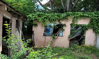 Foto de inmueble en Terreno EN Venta  Colonia Guadalupe Victoria, Col. Guadalupe Victoria C.P. 89080, Tampico