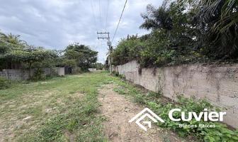 Foto de inmueble en Canelo esquina Ceiba, Col. Lomas de Altamira C.P. 89606, Altamira