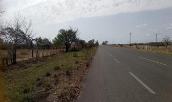 Foto de inmueble en Terreno Rustico EN Venta  Abordo DE Carretera POR Moron Aldama Tamps, Col. Moron C.P. 89672, Aldama
