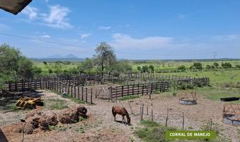 Foto de inmueble en Rancho El Carmen en Venta en Aldama Tamaulipas 100 Hectáreas con Frente a Carretera, Col. Reynosa Díaz C.P. 88859, Reynosa