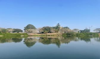 Foto de inmueble en Hermoso Rancho EN Venta 41.5 Has. CON 1.2 KM DE Frente AL RÍO Tamesi, Gonzalez, Tam. Info. Cel. 833-, Col. San Antonio Rayón C.P. 89746, González