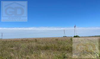 Foto de inmueble en Rancho EN Venta Localizado Sobre LA Ruta 39, Carretera Gonzalez -ébano , Denominado  LAS Flores Rayó, Col. San Antonio Rayón C.P. 89746, González