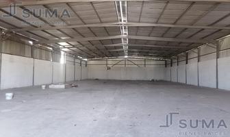 Foto de inmueble en Bodega en Renta en Col. Santa Amalia, Altamira Tamaulipas., Col. Santa Amalia C.P. 89602, Altamira
