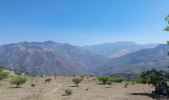 Foto de inmueble en FRACCION DEL RANCHO LAS MINAS PREDIO RUSTICO #S/N, Col. Voz Campesina (Ampliación las Minas) C.P. 87223, Llera