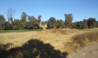 Foto de inmueble en Antiguo Camino Real a Texcalac 4, Apizaquito, Primera Secc, 90401 San Luis Apizaquito, Tlax., México, Col. San Luis Apizaquito C.P. 90401, Apizaco
