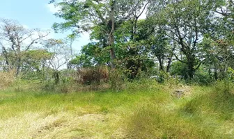 Foto de inmueble en Carretera Trancas Coatepec #117 , Col. Alborada C.P. 91637, Emiliano Zapata