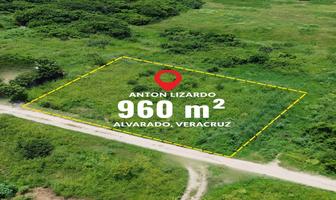 Foto de inmueble en calle X, Col. Anton Lizardo C.P. 95269, Alvarado