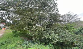 Foto de inmueble en Terreno EN Venta EN Colonia Bella Vista Xalapa Veracruz, Col. Bellavista C.P. 91097, Xalapa