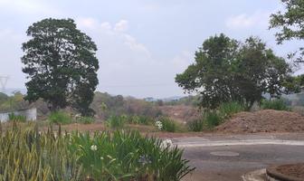 Foto de inmueble en Bosque DE Niebla  0, LAS Animas, Col. Bosque de Niebla C.P. 91193, Xalapa