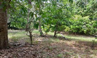 Foto de inmueble en Juana Moza, Col. Campestre Alborada C.P. 92893, Tuxpan
