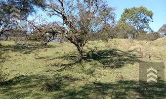 Foto de inmueble en Xico/veracruz/mexico 23, Col. Campo Viejo C.P. 91540, Coatepec