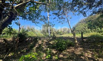 Foto de inmueble en Carretera Tuxpan-cazones Esq. Camino Justino Avila, Chacoaco, Tuxpan, Ver., Col. Chacoaco C.P. 92773, Tuxpan