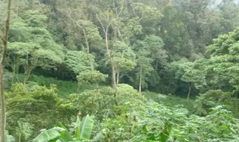 Foto de inmueble en Carretera cinco palos #11, Col. Cuauhtemoc C.P. 91611, Coatepec